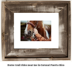 horse trail rides near me in Corozal, Puerto Rico